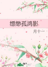 縹緲孤鴻影